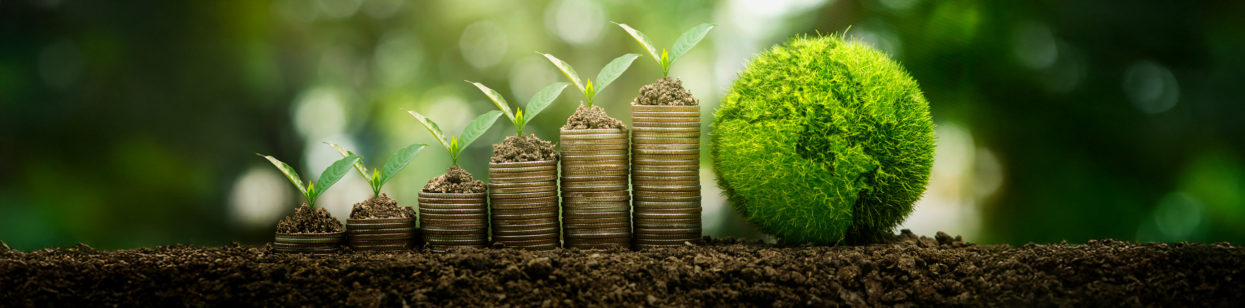 6 000 milliards d’euros dorment : et si on les réveillait pour la transition énergétique ?